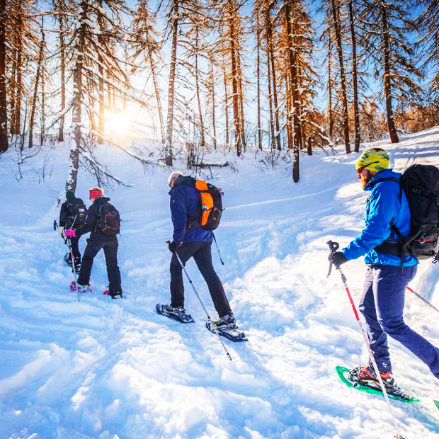Randonnées en raquettes
